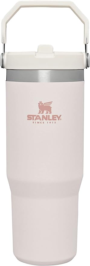 STANLEY IceFlow Stainless Steel Tumbler with Straw, Vacuum Insulated Water Bottle for Home, Office or Car, Reusable Cup with Straw Leak Resistant Flip